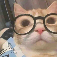 Tác giả báo thủ