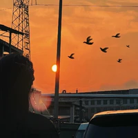 Tổ chương trình 