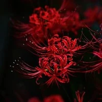 T/g làm biếng:))