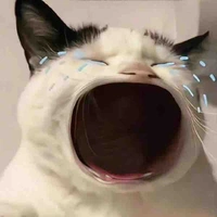 Nhỏ tác giả 