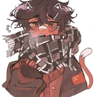 CHXHCNVN ( Việt nam/ nam nam/...)