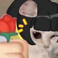 T/g
