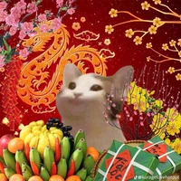 Tác Giả