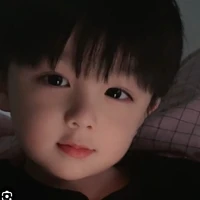 Tô Bắc Xuyên(na9)