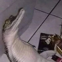 Hệ thống 2198(Enlane)