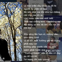 người trong phòng livestream
