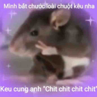 T/b