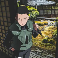 Nara Shikamaru