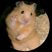 con tác giả khùng khùng điên điên