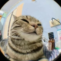 tác giả quyết định mọi thứ=))