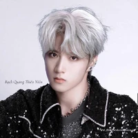 Lưu Diệu Văn(Anh)