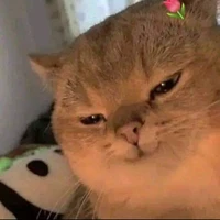 hệ thống (tiểu chu)