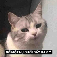 Nhân vật bí ẩn