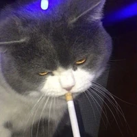 Pa_T/g