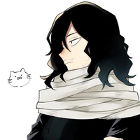 Aizawa Shota (Eraserhead)