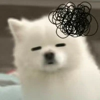 t/g xênh địp