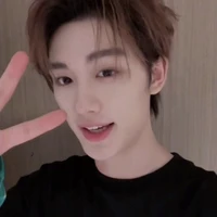 Đinh Trình Hâm