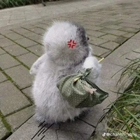 Nhỏ tác giả