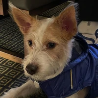 Hạnhh