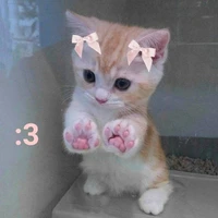 Tác Giả Siêu Cấp Đẹp Trai