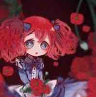 Poppy