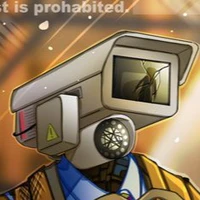 Borwn/simp cameraman