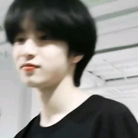 Lưu Diệu Văn