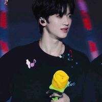 Đặng Giai Hâm 