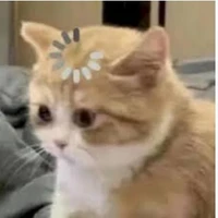 Tác giả