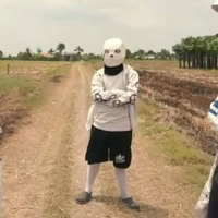 alpha