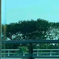 bạn cùng lớp