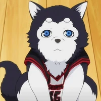 Nigou Tetsuya
