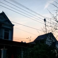 Đa nhân vật