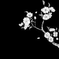 Shikigami Ai