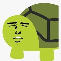 🐢