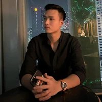 việt anh(vịt anh)