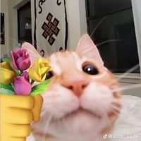 Tờ rinh (tác giả)