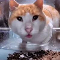 Tội đồ của đồng tiền