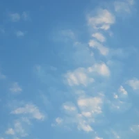 ? ? ?