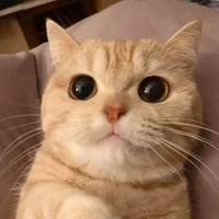 nhân vật phụ khác:D