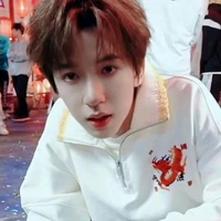 Hạ Tuấn Lâm ( em )