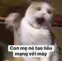 Pu Blowelive