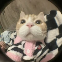 Tác giả 3 mét bẻ đôi=))