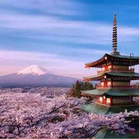 tất cả ht đng có mặt