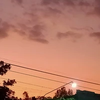 tác giả umê xoài vy