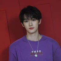 Đinh Trình Hâm