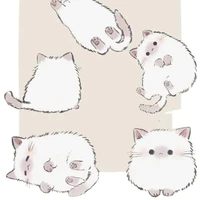 著者