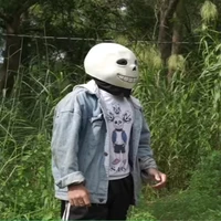 sans