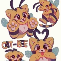 𝙲𝙰𝚃 𝙱𝙴𝙴