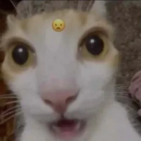？？？